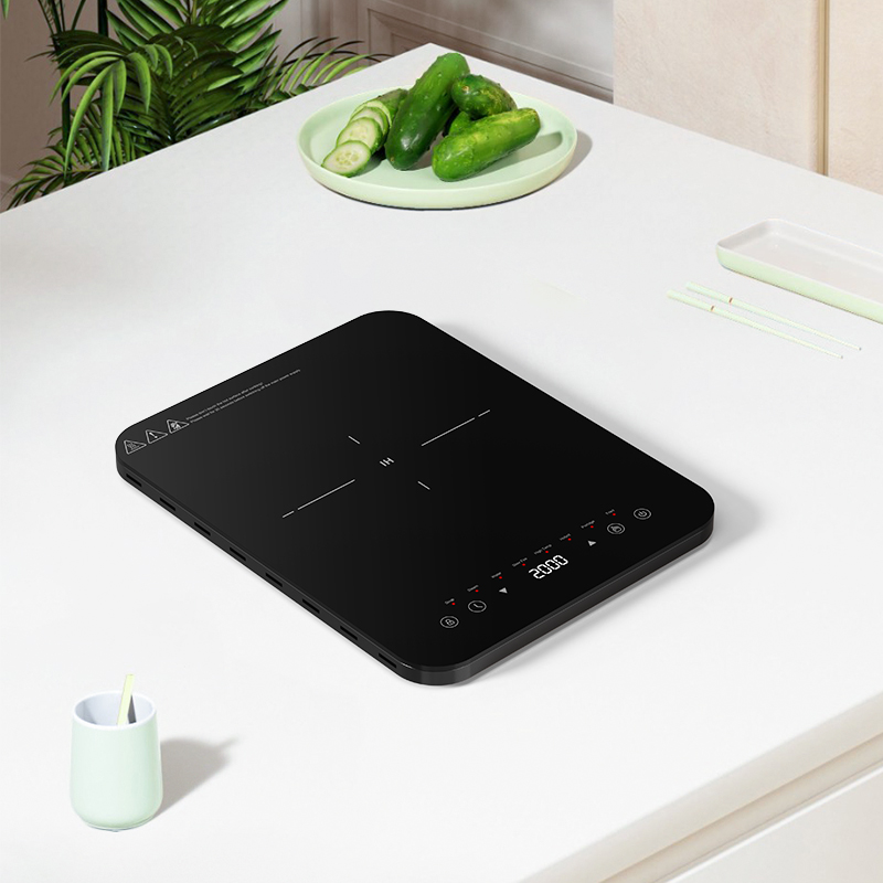 مناطق طهي بالحث الكهرومغناطيسي - مراجعة Induction Cooktop Portable وسعره